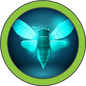 CICADA-HTB Notes